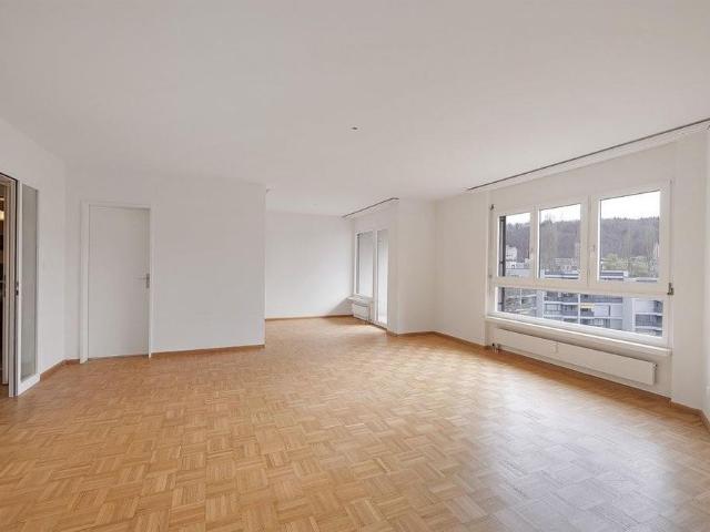 Wohnung im städtischen Liestal mit ländlicher Aussicht