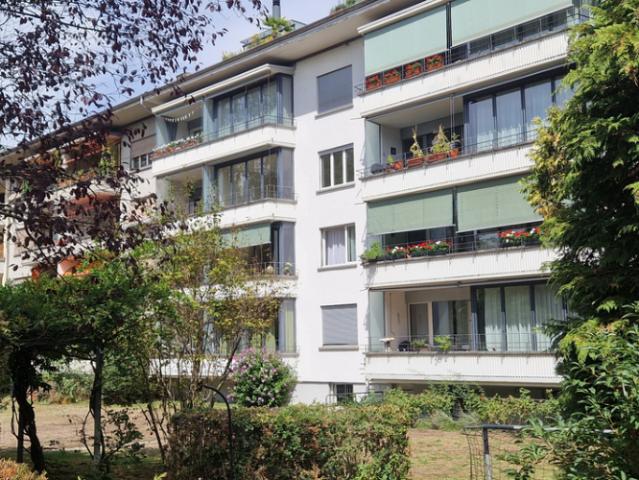 Wohnung im Wankdorf gesucht?