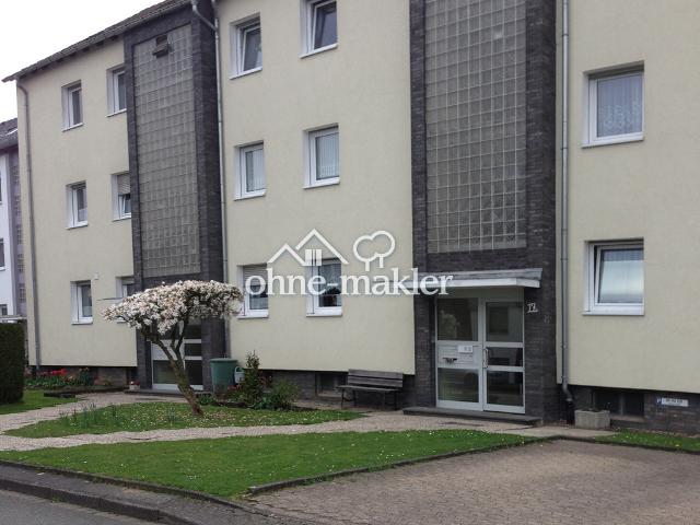 Wohnung in Bad Driburg