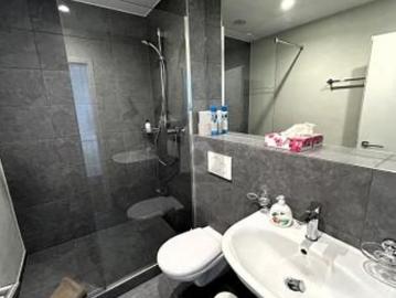 Cadogno, Brissago, Circolo dell'Isole, Bezirk Locarno, Tessin