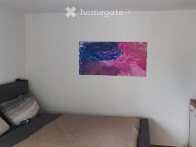Wohnung in Dübendorf Helle 1 Zimmer Wohnung in Dübendorf – zentrale Lage