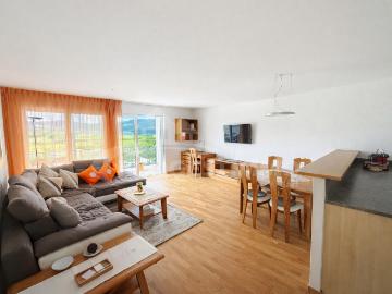 WOHNUNG IN DEN BADEN VON SAILLON
