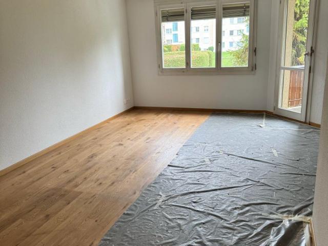 Wohnung in Geuensee