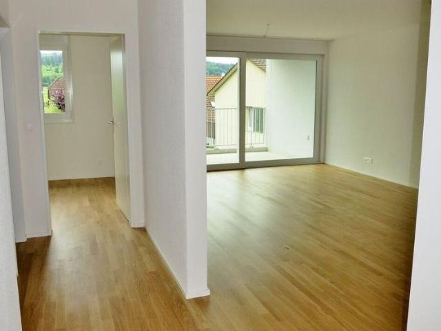 Wohnung in Hendschiken Nachmieter gesucht