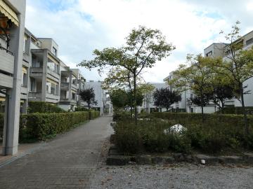 Wohnung in ruhigem Quartier in Thun!