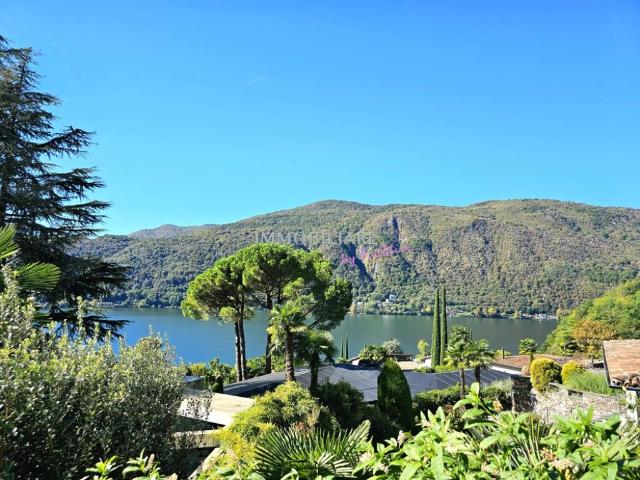 Wohnung in Villa: Erdgeschoss mit Kamin, Sitzplatz und Seeblick