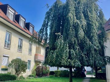 Kindergartenstraße, Piberbach, Piberbach, Linz-Land, Oberösterreich