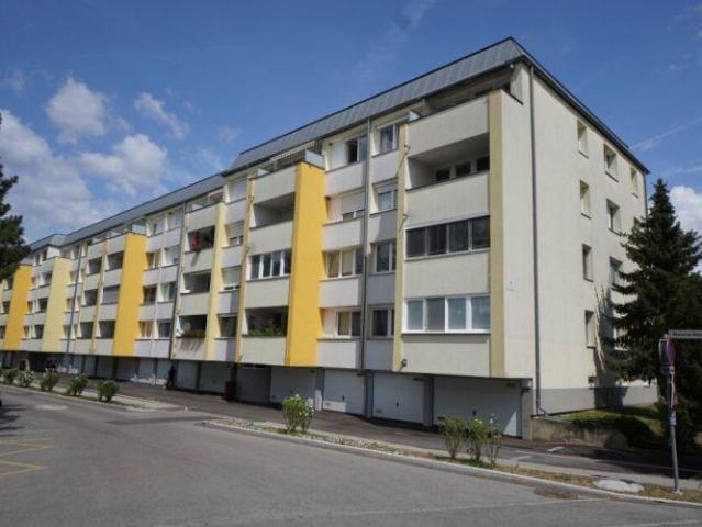 Wohnung Laxenburg Laxenburg 105011729