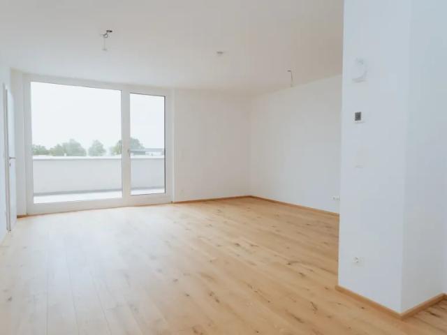 Wohnung Podersdorf Am See Podersdorf Am See 104259508
