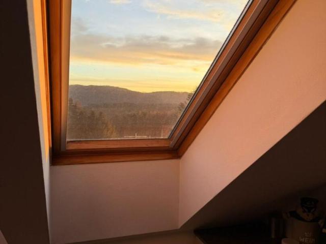 Wohnung Steiermark Steiermark 105034680