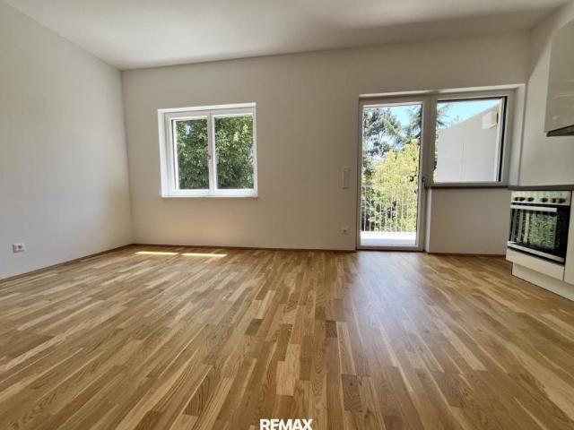 Wohnung Steiermark Steiermark 105187222
