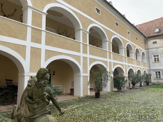 Wohnung Strelzhof Strelzhof 105197529