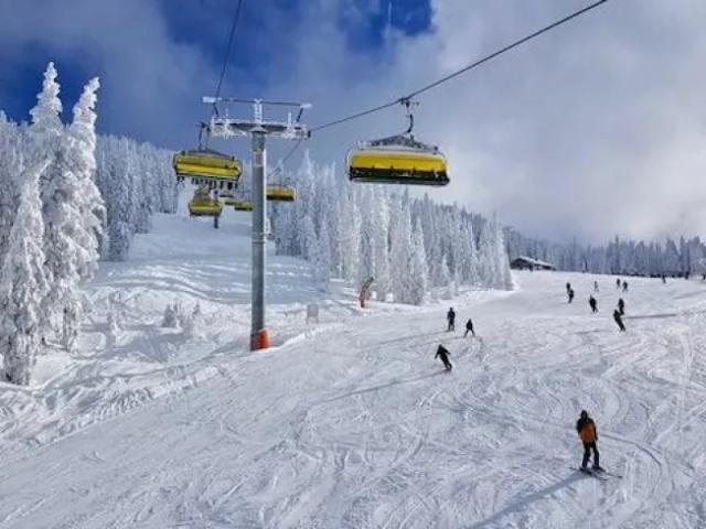 Wohnung Schladming Schladming 105542551