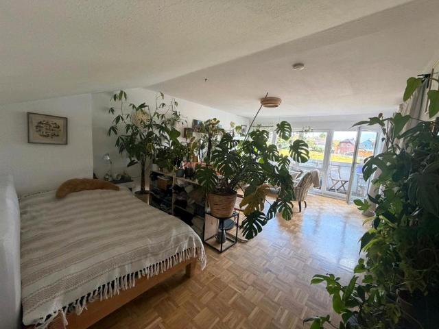 Wohnung~ Singlewohnung~ 39 qm~ Dortmund Süd~ 2022 Kernsaniert