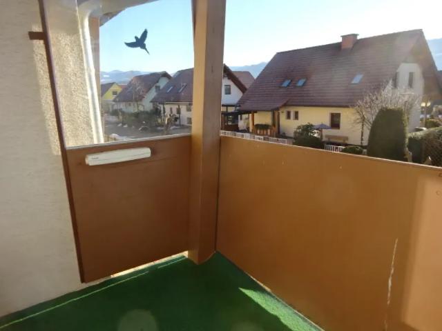 Wohnung Spielberg Spielberg 105214988