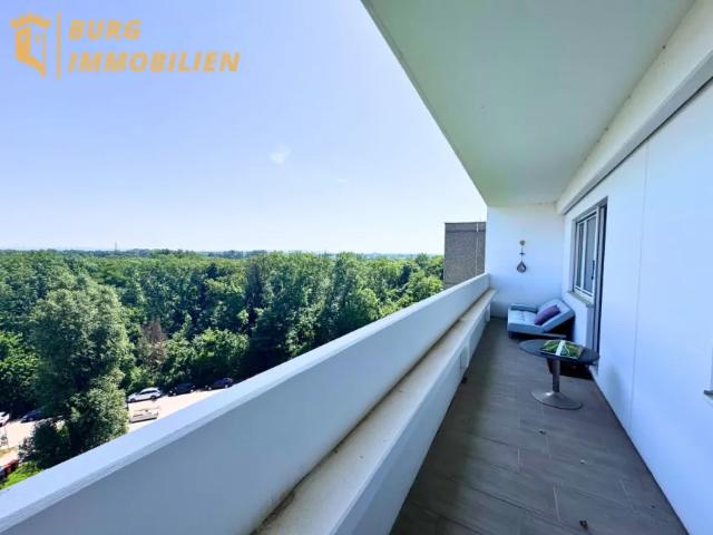 Wohnung Traiskirchen Traiskirchen 105307996