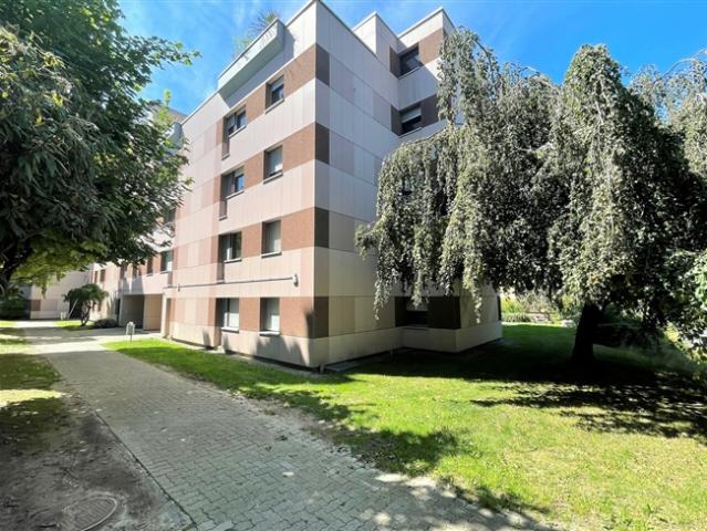 3.5 Zimmer Wohnung im 1. Stock