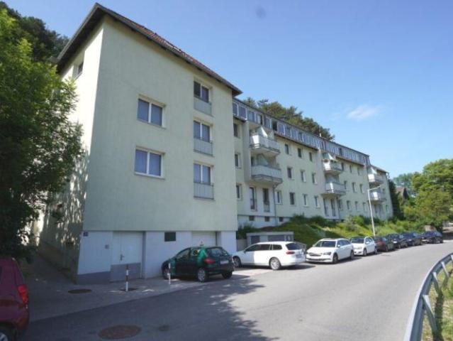 Zu Verkaufen Wohnung Waldegg Waldegg DS102203140