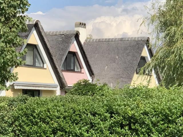 Wohnung Weiden Am See Weiden Am See 105197697