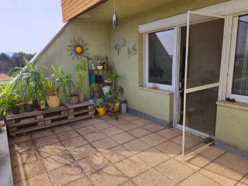 Wohnung Wien Wien 103014266