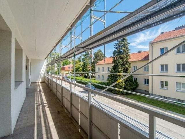 Wohnung Wien Wien 104040063