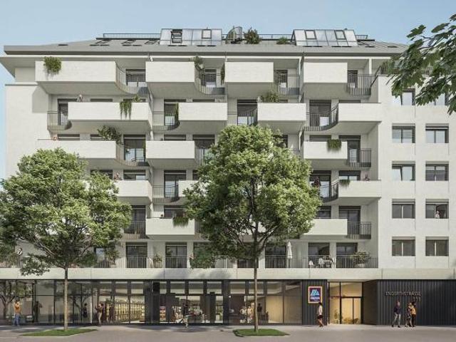 Wohnung Wien Traisengasse 106062075