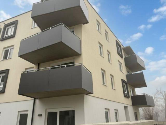 Zu Vermieten Wohnung Wiener Neustadt Wiener Neustadt DS102242347