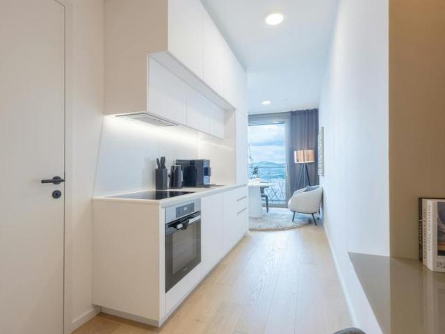 Wohnung Zu Vermieten Vienna Vienna 2800 ES101840285