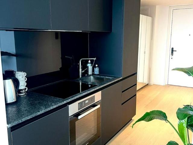 Wohnung Zu Vermieten Vienna Vienna 2190 ES101841292