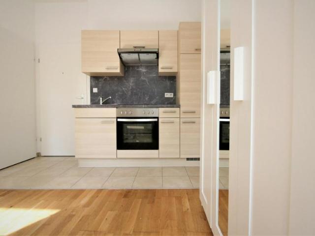 Wohnung Zu Vermieten Vienna Vienna 950 ES100914662