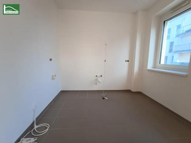 Wohnung Zu Vermieten Vösendorf Vösendorf 1295 ES106100262