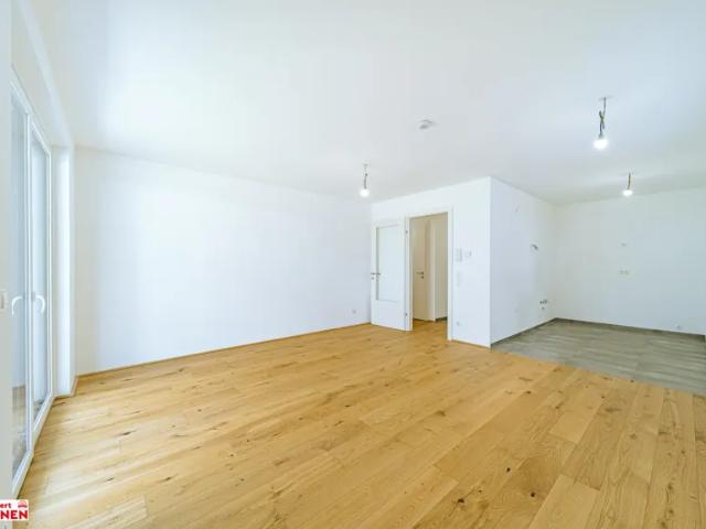 Wohnung Zu Vermieten Wiener Neustadt Wiener Neustadt 739 ES105690654