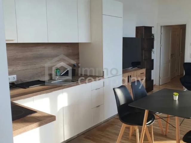 Wohnung Zu Vermieten Wiener Neustadt Wiener Neustadt 621 ES105335445