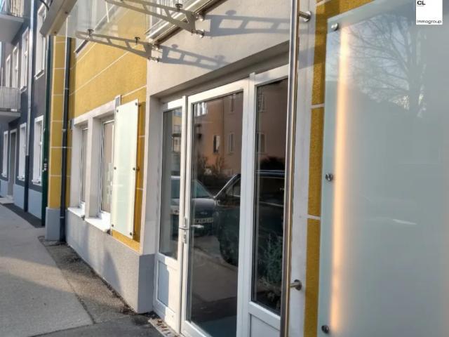 Wohnung Zu Vermieten Bad Ischl Bad Ischl 1163 ES105332032