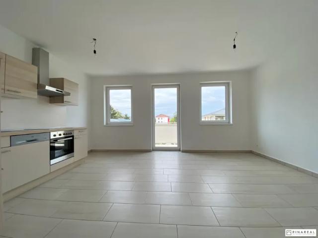 Wohnung Zu Vermieten Eggendorf Eggendorf 748 ES103148631