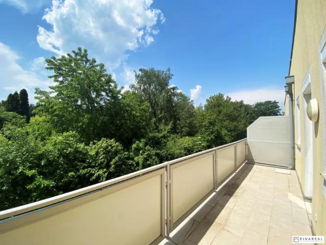 Wohnung Zu Vermieten Eggendorf Eggendorf 846 ES105745790