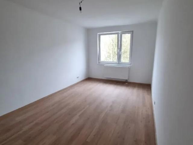 Wohnung Zu Vermieten Hainburg An Der Donau Hainburg An Der Donau 1000 ES105312234