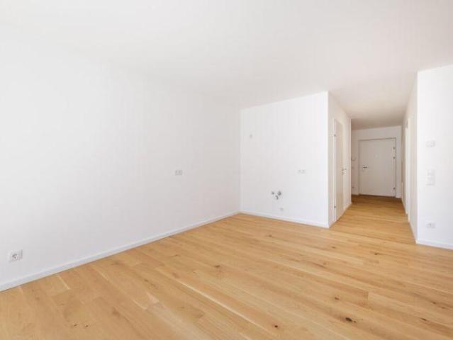 Wohnung Zu Vermieten Hollabrunn Hollabrunn 1 ES103342467