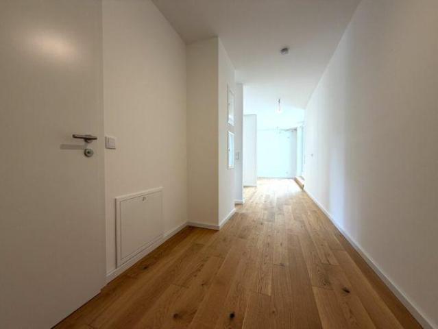 Wohnung Zu Vermieten Hollabrunn Hollabrunn 1 ES103342469