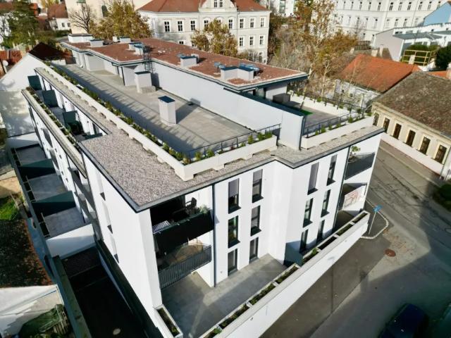 Wohnung Zu Vermieten Hollabrunn Hollabrunn 914 ES105465800