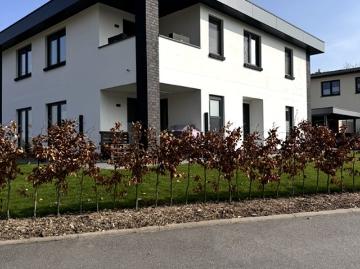 Klütz, Nordwestmecklenburg, Mecklenburg-Vorpommern