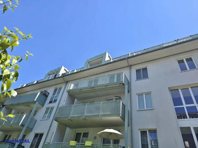 Wohnung Zu Vermieten Purkersdorf Purkersdorf 1047 ES105419567