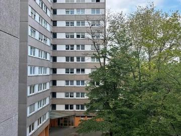 Falkenstraße, Ludwigshafen, Nördliche Innenstadt