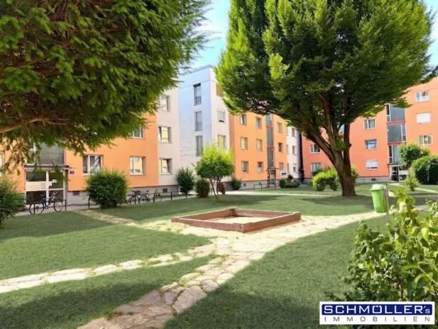 Wohnung Zu Verkaufen Wels Wels 238000 ES104140284
