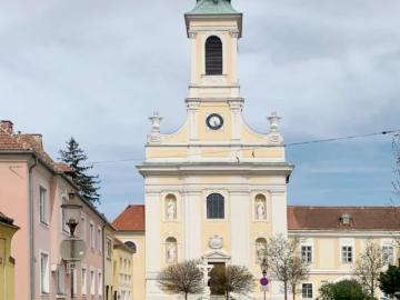 Wohnung Zu Verkaufen Wiener Neustadt Wiener Neustadt 242331 ES103117052