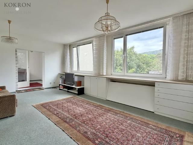 Wohnung Zu Verkaufen Bad Vöslau Bad Vöslau 221000 ES105077442