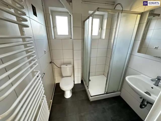 Wohnung Zu Verkaufen Graz Graz 159000 ES103149618