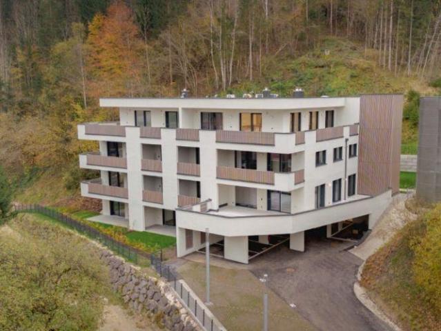Wohnung Zu Verkaufen Hinterstoder Hinterstoder 667485 ES105076644