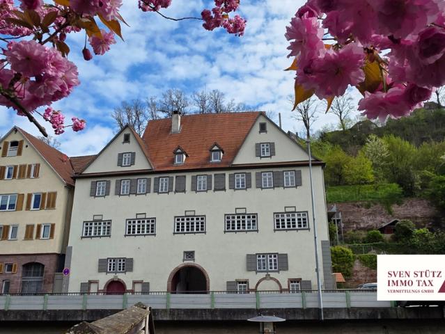 Wohnung zum Kaufen in Calw 595.000,00 EUR 245 m²