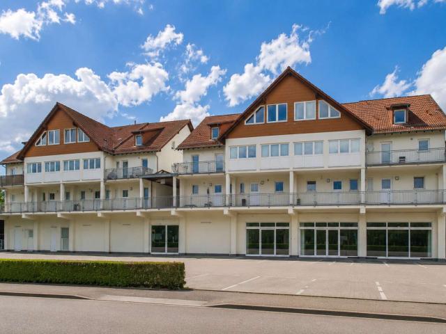 Wohnung zum Kaufen in Angelbachtal 495.000,00 EUR 203.2 m²